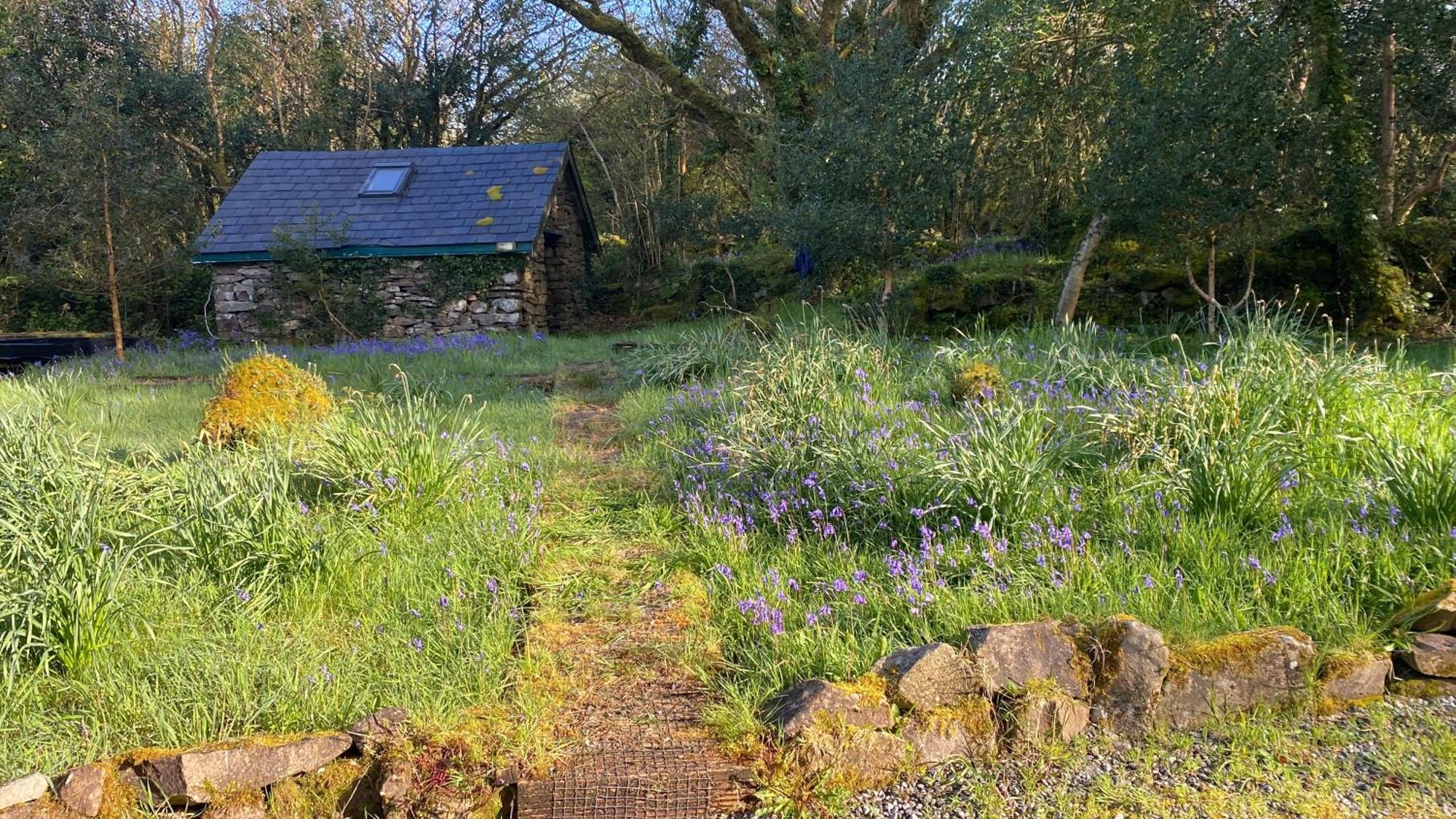 Sligo Forest Retreat Exterior photo